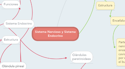 Mind Map: Sistema Nervioso y Sistema Endocrino