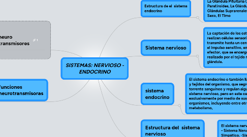 Mind Map: SISTEMAS: NERVIOSO - ENDOCRINO