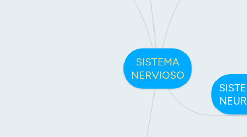 Mind Map: SISTEMA NERVIOSO