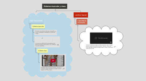 Mind Map: Sistema muscular y óseo.