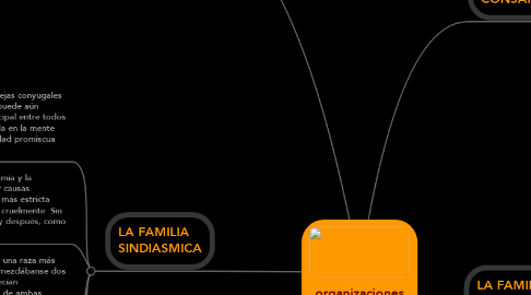 Mind Map: organizaciones familiares