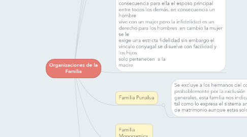 Mind Map: Organizaciones de la Familia
