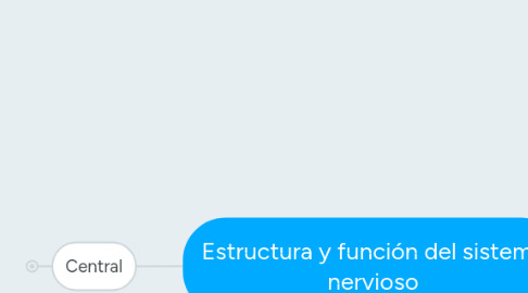 Mind Map: Estructura y función del sistema nervioso