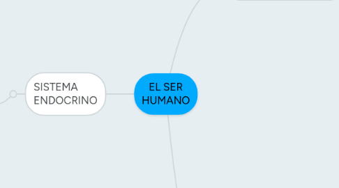 Mind Map: EL SER HUMANO