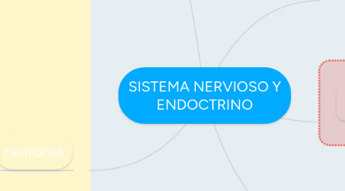 Mind Map: SISTEMA NERVIOSO Y ENDOCTRINO