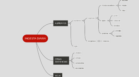 Mind Map: INGESTA DIARIA