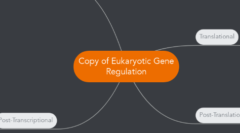 Mind Map: Copy of Eukaryotic Gene Regulation