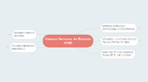 Mind Map: Sistema Nervioso de Relación (SNR)