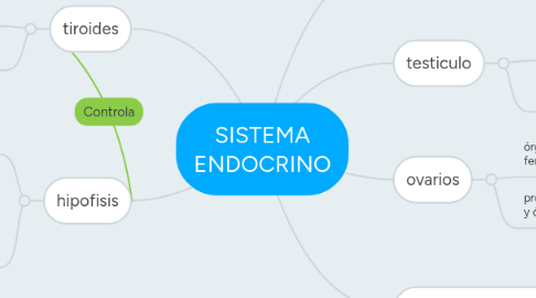 Mind Map: SISTEMA ENDOCRINO