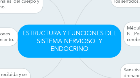 Mind Map: ESTRUCTURA Y FUNCIONES DEL SISTEMA NERVIOSO  Y ENDOCRINO