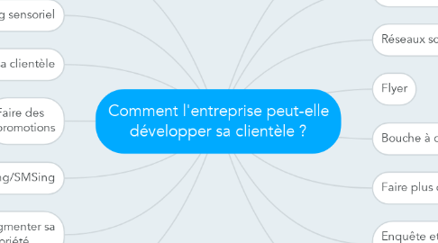 Mind Map: Comment l'entreprise peut-elle développer sa clientèle ?