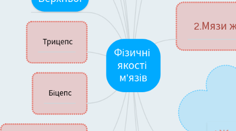 Mind Map: Фізичні якості м'язів