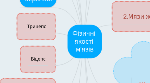 Mind Map: Фізичні  якості  м'язів