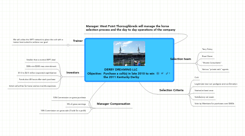 Mind Map: DERBY DREAMING LLC Objective:  Purchase a colt(s) in late 2010 to win  the 2011 Kentucky Derby