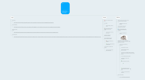 Mind Map: Umbertina Smerieri