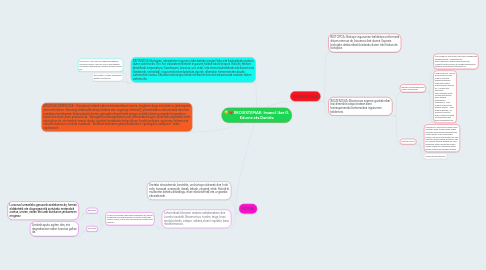 Mind Map: EKOSISTEMAK: Imanol, Iker G, Edurne eta Daniela