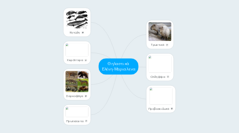 Mind Map: Θηλαστικά Ελένη-Μαριαλενα