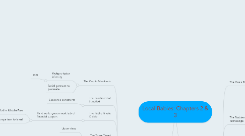 Mind Map: Local Babies: Chapters 2 & 3