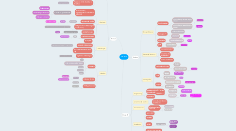 Mind Map: Mexico