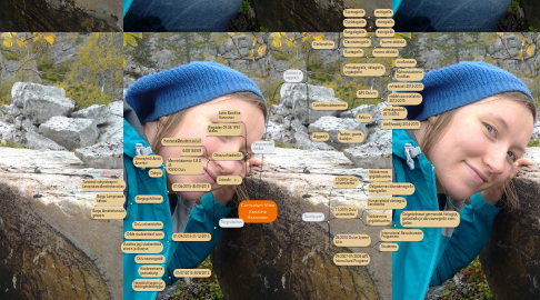 Mind Map: Curriculum Vitae Karoliina Hannonen