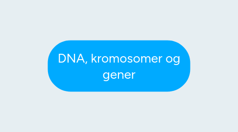 Mind Map: DNA, kromosomer og gener