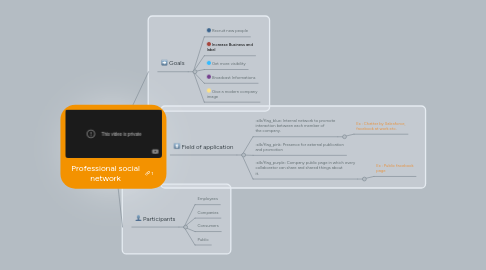 Mind Map: Professional social network