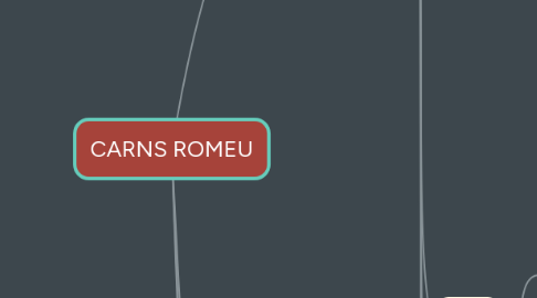 Mind Map: CARNS ROMEU