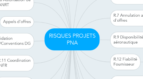 Mind Map: RISQUES PROJETS PNA