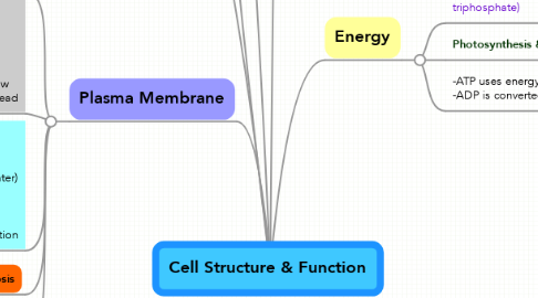 Mind Map: Cell Structure & Function