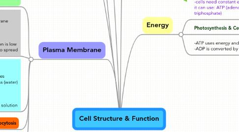 Mind Map: Cell Structure & Function