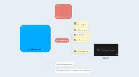 Mind Map: тип Моллюски