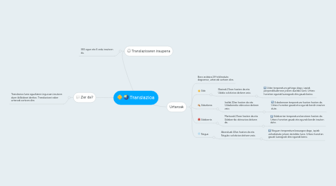 Mind Map: Translazioa