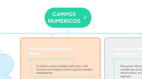 Mind Map: CAMPOS NUMERICOS