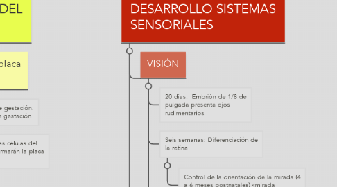 Mind Map: NEURODESARROLLO SENSORIAL Y COGNITIVO