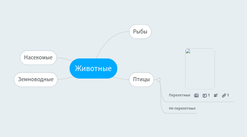 Mind Map: Животные