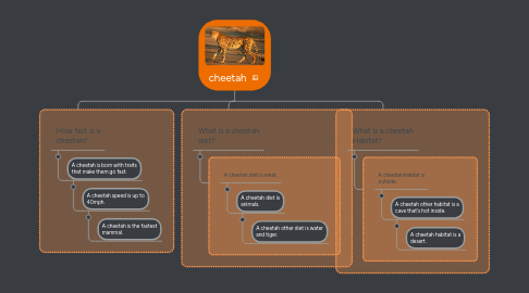 Mind Map: cheetah