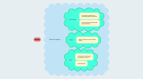 Mind Map: Medier