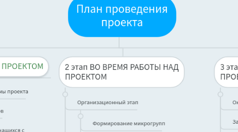 Mind Map: План проведения проекта