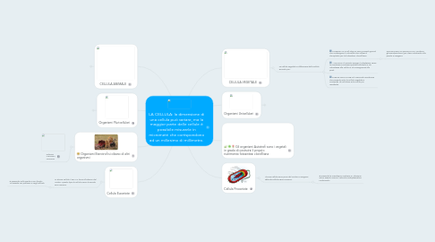 Mind Map: LA CELLULA: la dimensione di una cellula può variare, ma la maggior parte delle cellule è possibile misurarle in micrometri che corrispondono ad un millesimo di millimetro.