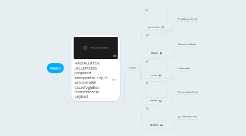 Mind Map: Állatok