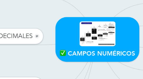 Mind Map: CAMPOS NUMÉRICOS