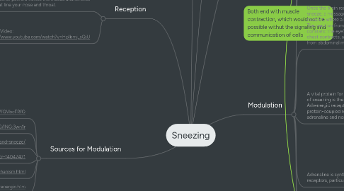 Mind Map: Sneezing