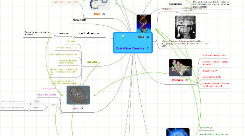 Mind Map: Cole Weber Genetics