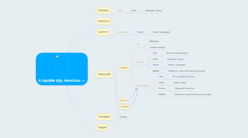 Mind Map: A táplálék útja, lebontása