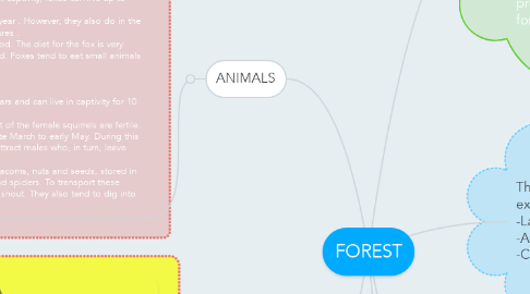 Mind Map: FOREST