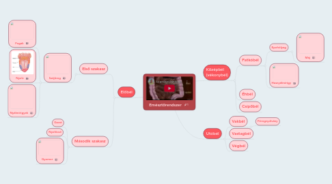 Mind Map: Emésztőrendszer