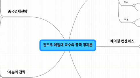 Mind Map: 천즈우 예일대 교수의 중국 경제론