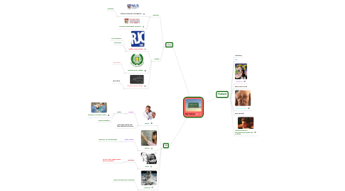 Mind Map: My Future