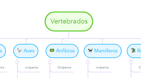 Mind Map: Vertebrados