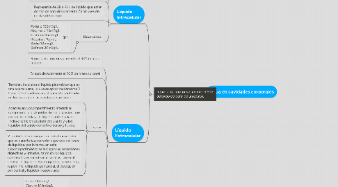 Mind Map: Agua en cavidades corporales